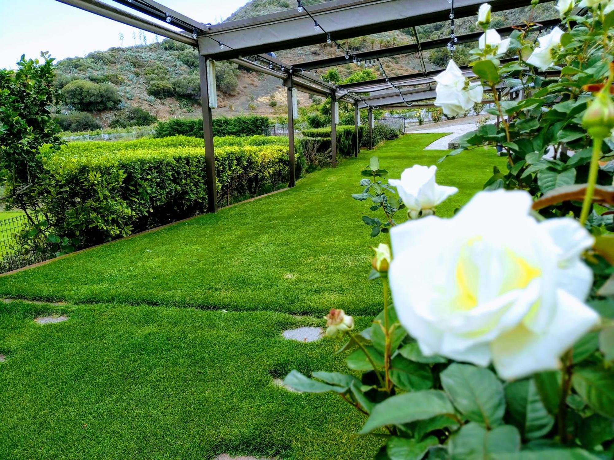 Hotel Rural El Mondalon ลาสปัลมาส เด กรานคานาเรีย ภายนอก รูปภาพ